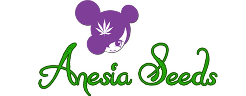 anesia seeds cannabis