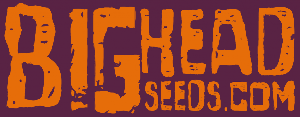BigHeadSeeds_Logo