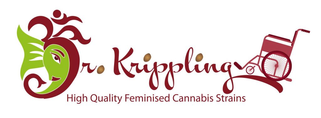 dr krippling cannabis seeds