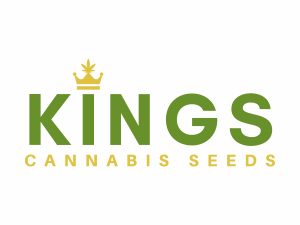 Cannabis Breeders at Kings Seedbank