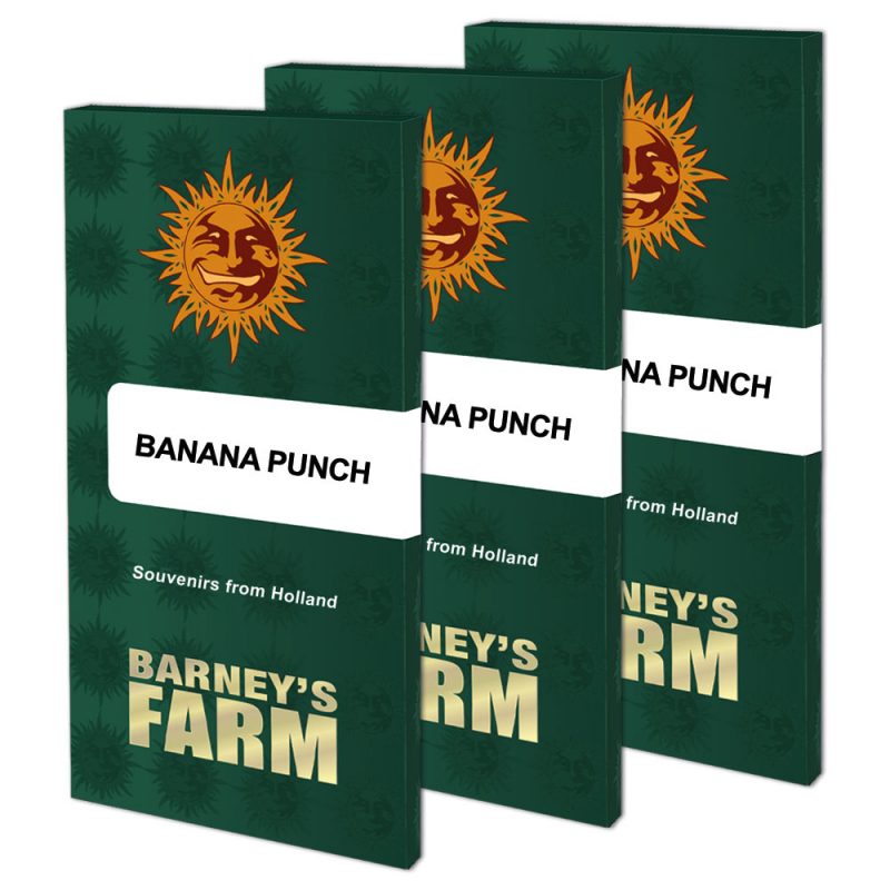 banana-punch_packet_large_seeds