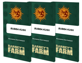buy bubba kush cannabis seeds uk