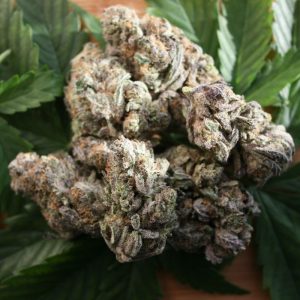 mac muffin cannabis bud