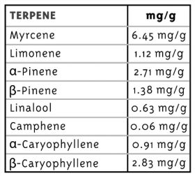 notorious THC terpene profile.png
