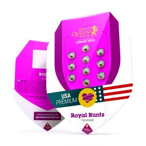 buy Royal runtz cannabis seeds uk