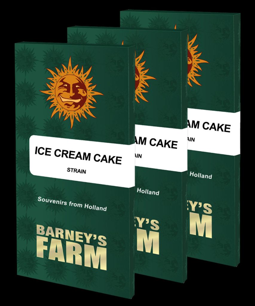 Buy Ice Cream Cake Cannabis Seeds UK