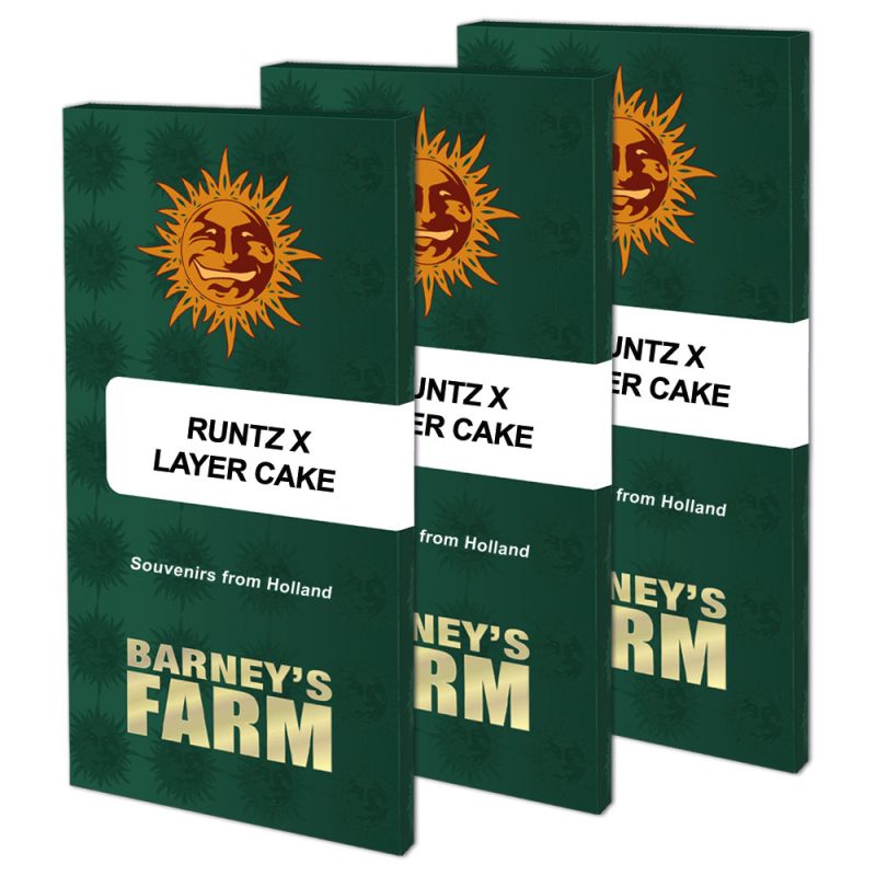 buy runtz-x-layer-cake-cannabis seeds uk