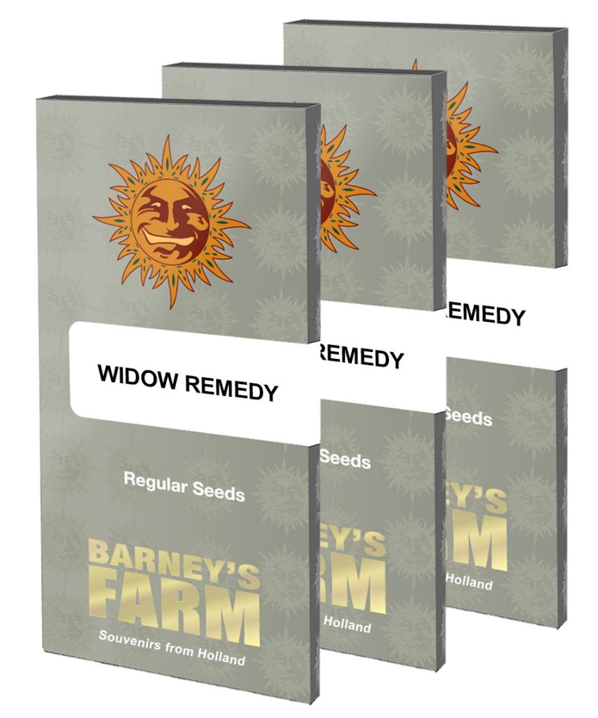 buy widow-remedy-cannabis seeds uk