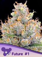 Future #1 from anesia seeds