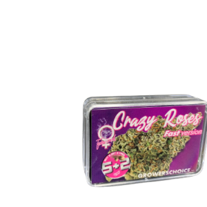 Buy crazy_roses_fast version cannabis seeds uk