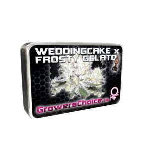 buy wedding cake_x_frosty_gelato_cannabis_seeds_uk by_growerschoice_1